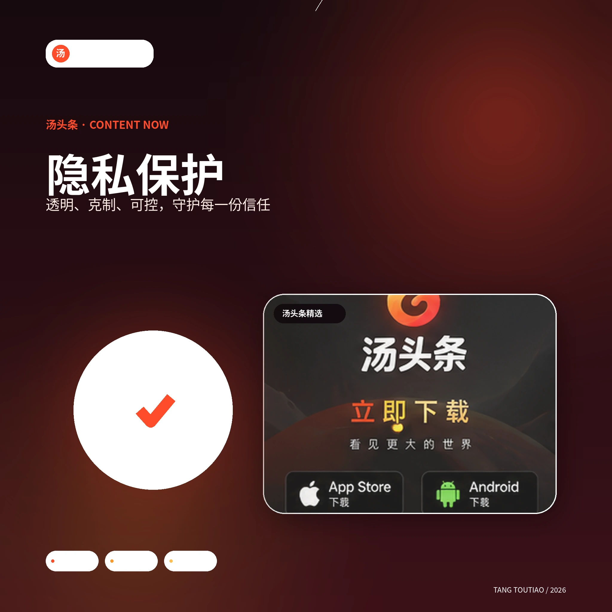 汤头条隐私保护